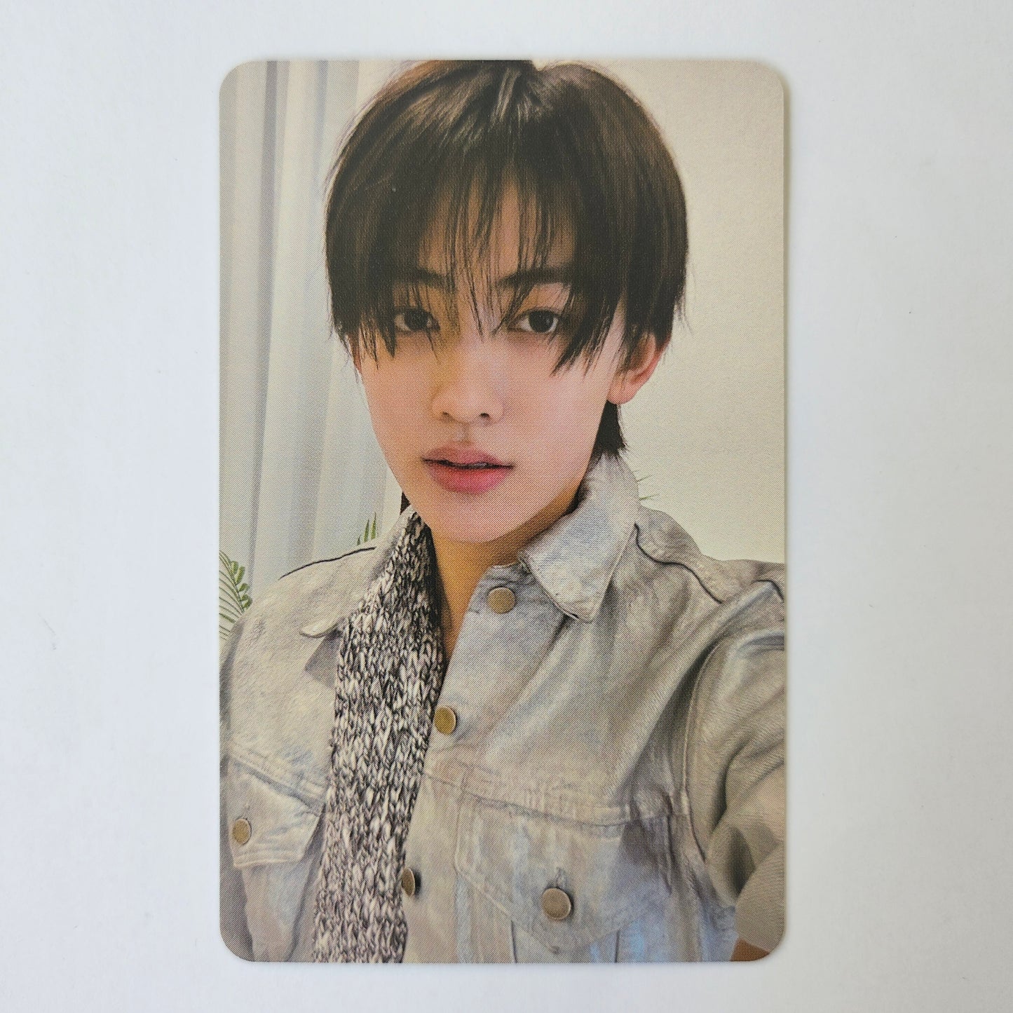 CORTIS - GREENGREEN Everline Lucky Draw Photocards