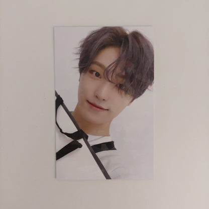 Seventeen - 2021 Caratland Photocards