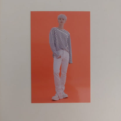 Seventeen - 2021 Caratland Photocards