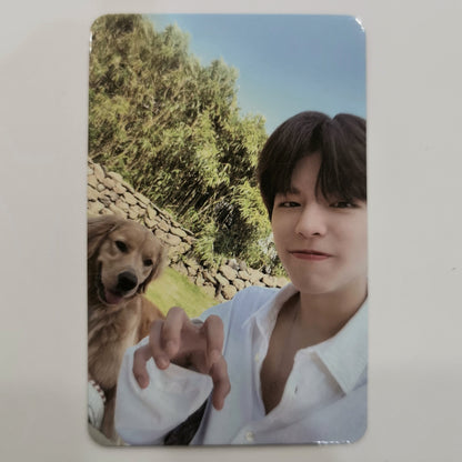 Stray Kids - 'Stay in Stay' Photocards