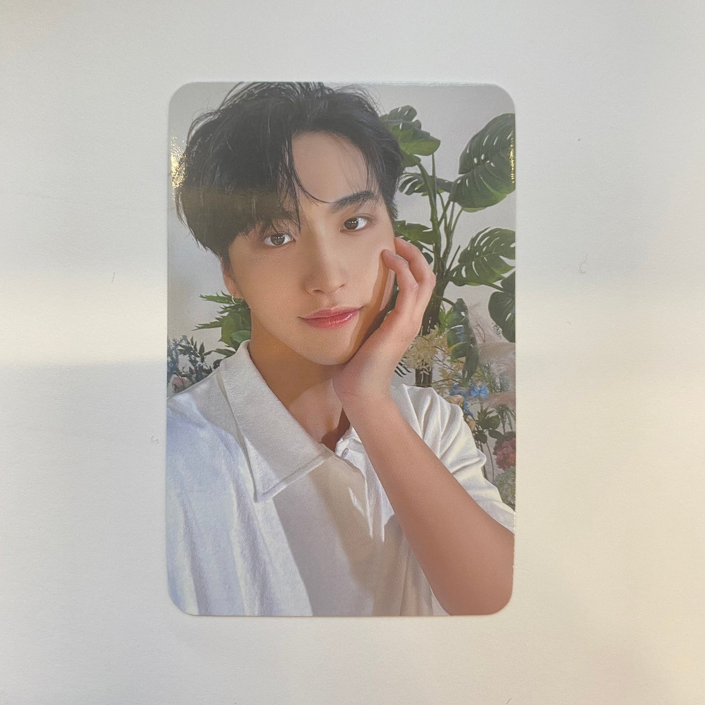 ATEEZ - Olive Young Photocards