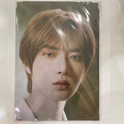 TXT - ACT: LOVESICK Premium Photo