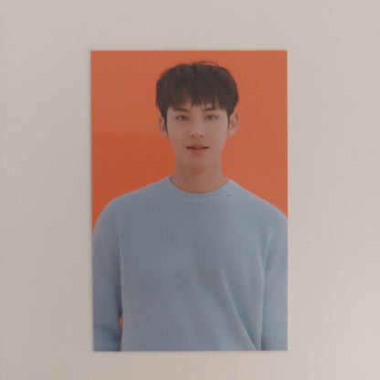 Seventeen - 2021 Caratland Photocards