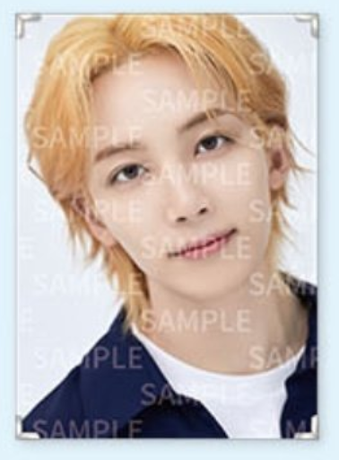 Seventeen - Caratland Premium Photo