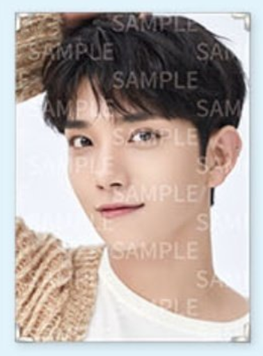 Seventeen - Caratland Premium Photo