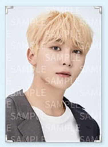 Seventeen - Caratland Premium Photo