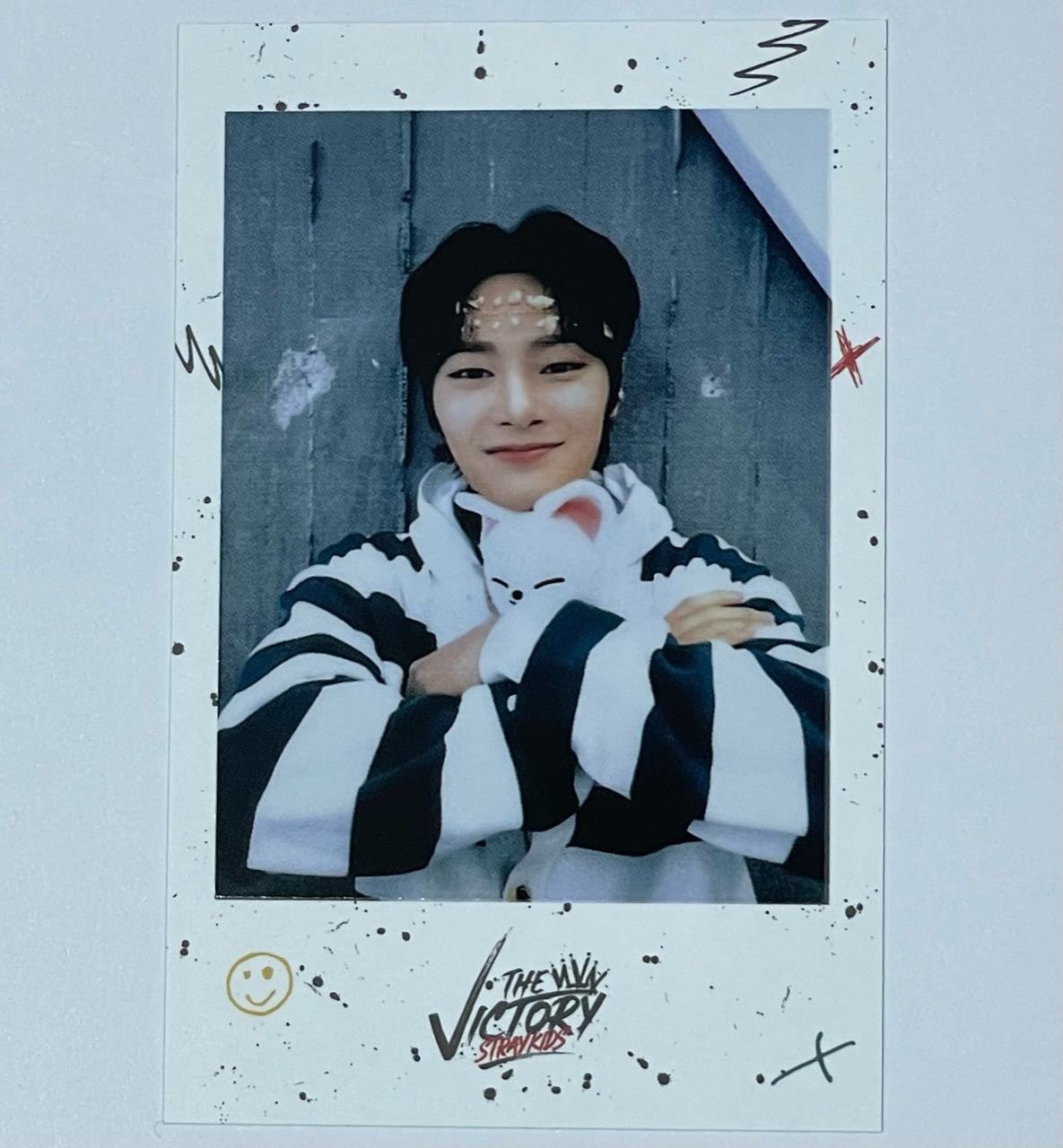 Stray Kids - SKZOO 'The Victory' Polaroids