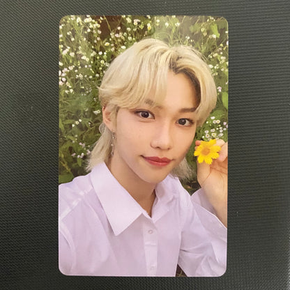 Stray Kids - NOEASY/CHRISTMAS EVEL Limited Photocards