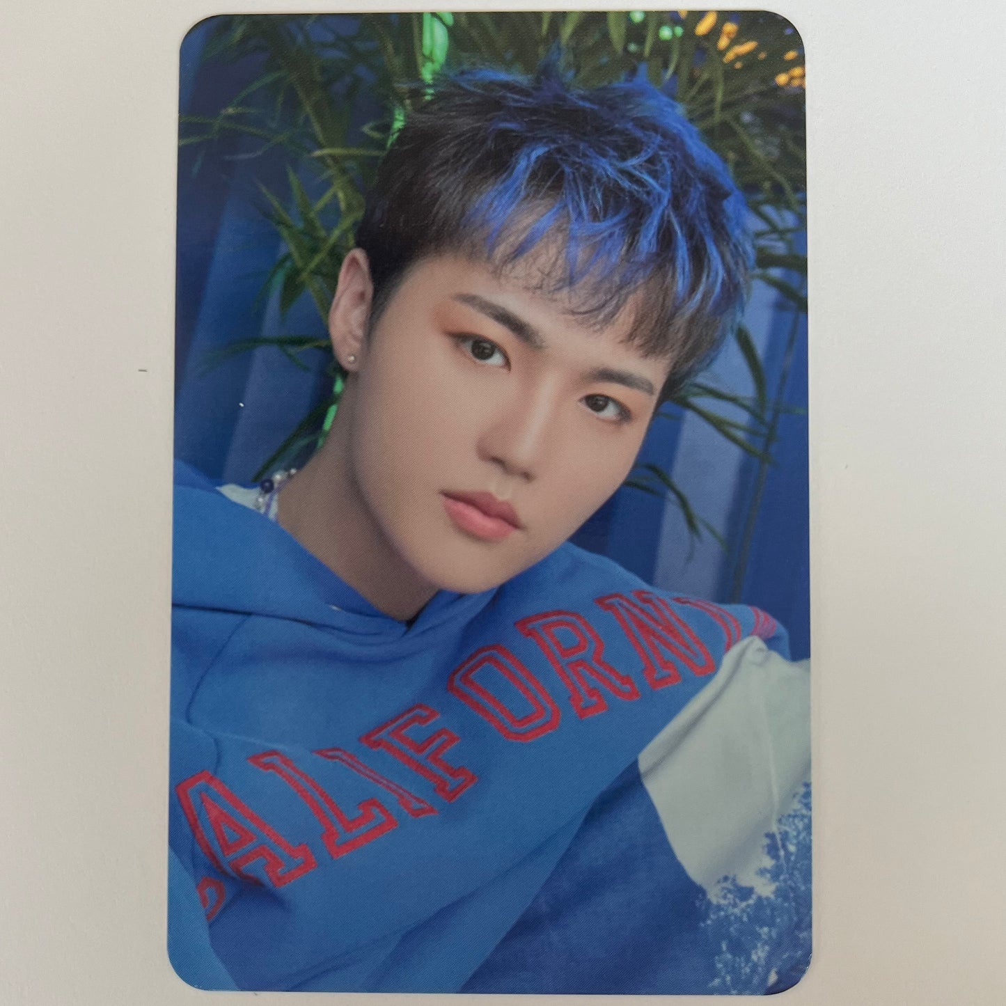 TREASURE - HELLO Seoul Tour MD booth Trading Photocards