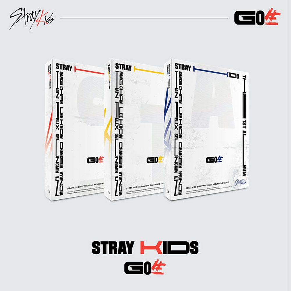 Stray Kids - GO LIVE