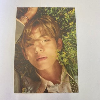 BTS - HYBE Insight Postcards